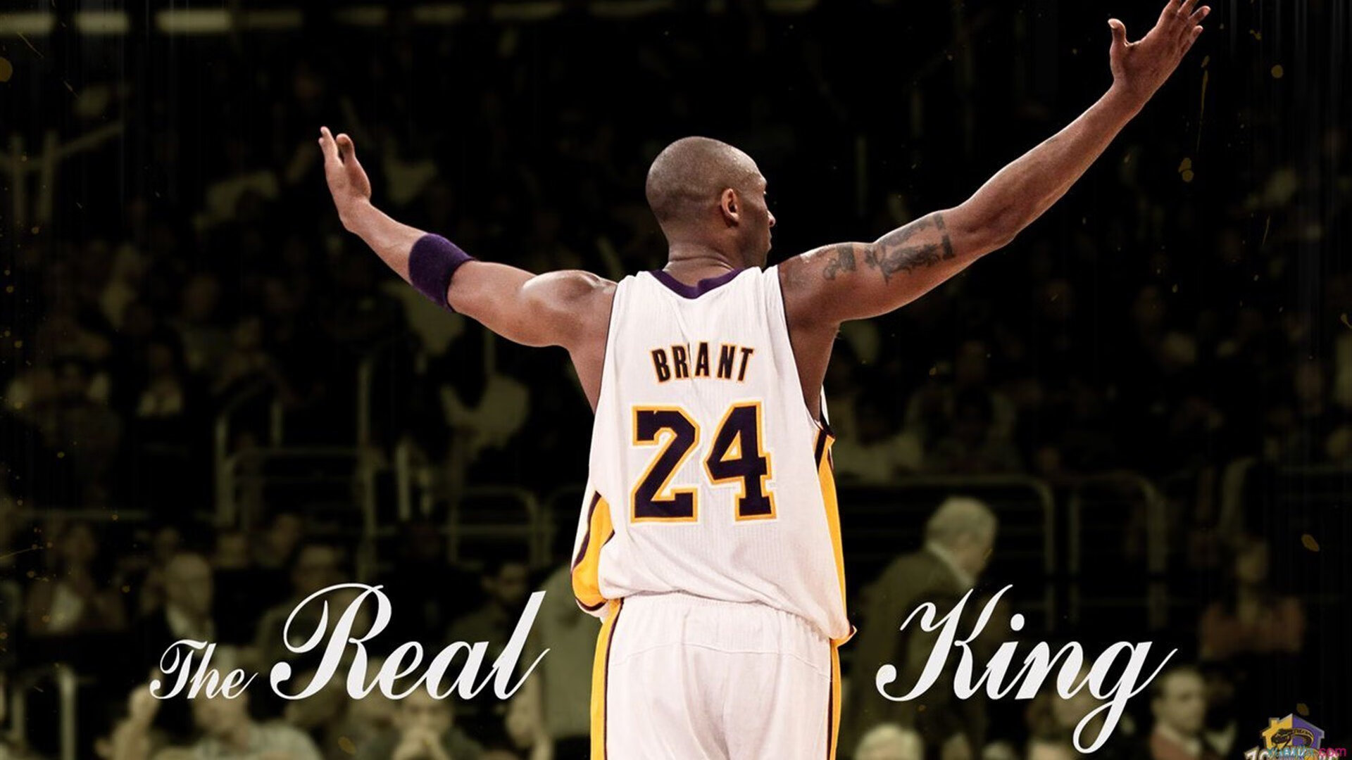 新补丁影响强势英雄,比赛战术快速演化——领略游戏策略的微妙变革